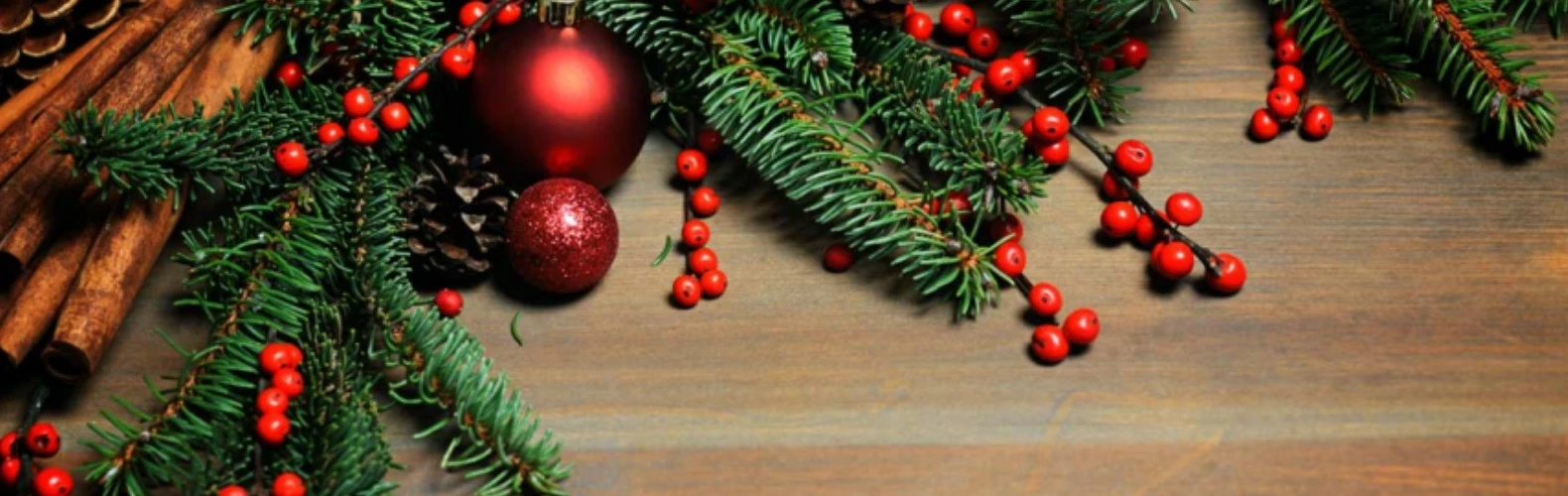 Melrose Sales Store 1 Melrose Sales Store -Melrose Sales Store 1580