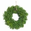 Melrose Pine Wreath 6-pc. Set 2 Melrose Pine Wreath 6-pc. Set -Melrose Sales Store unnamed file 1