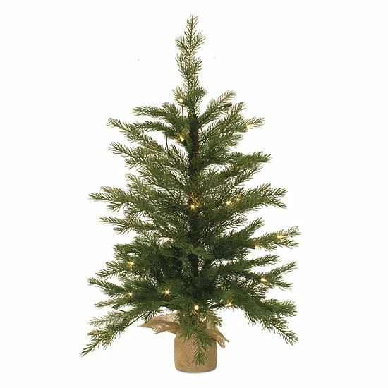 Melrose Tree In Burlap 3 Melrose Tree In Burlap