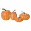 Melrose Pumpkin Decor 2 Melrose Pumpkin Decor -Melrose Sales Store unnamed file 23